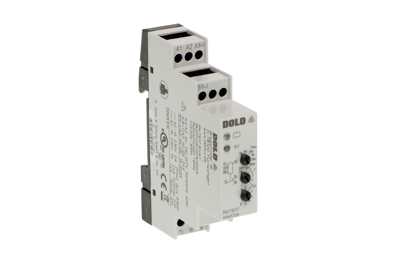 Timing Relay for Sorter Doors 24-240VAC/DC
